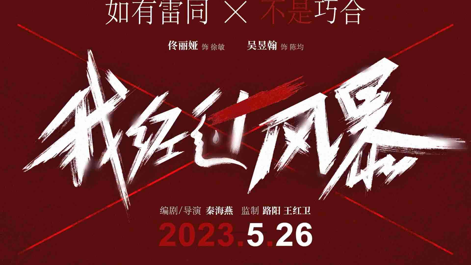 电影《我经过风暴》定档预告